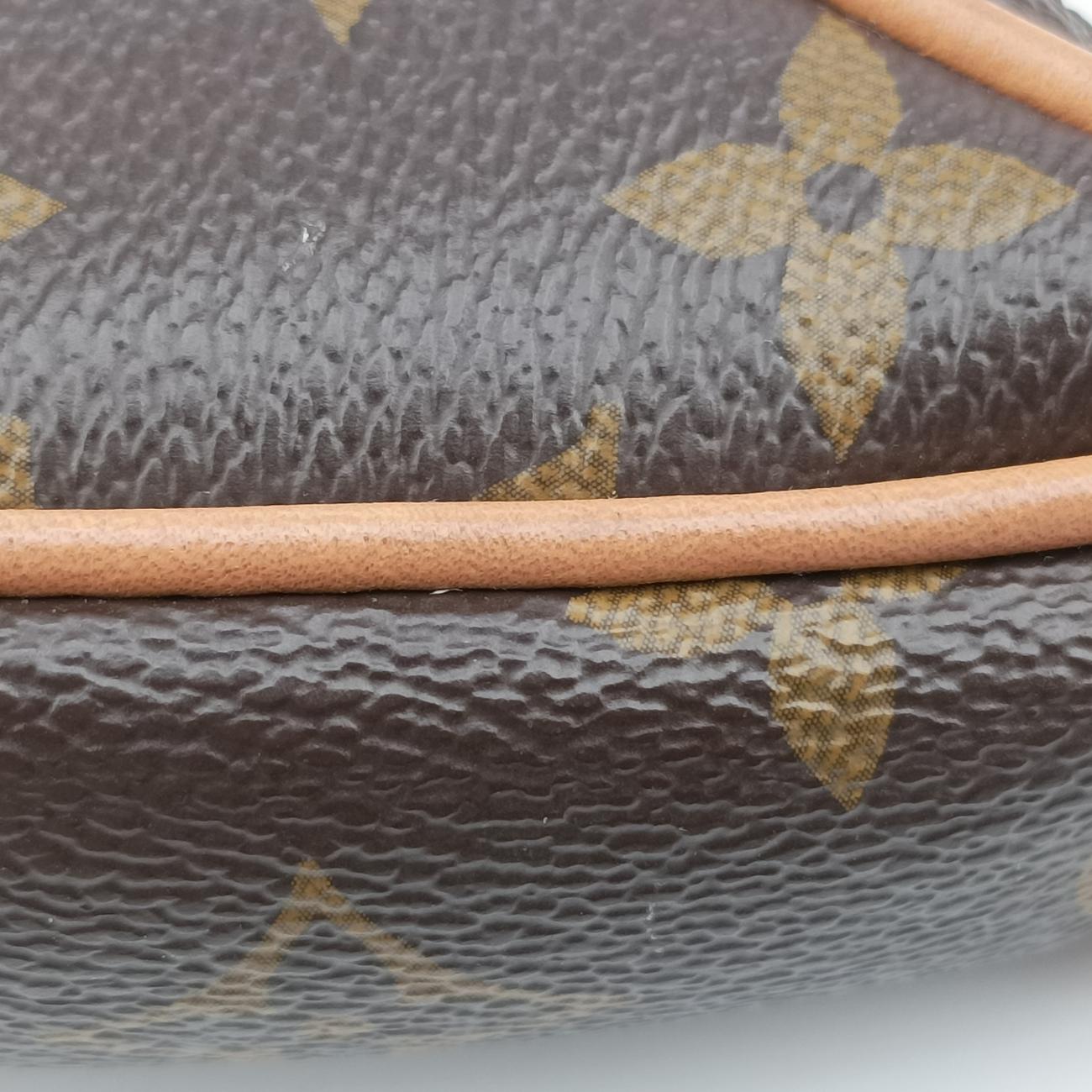 LOOPBrown×BeigeMonogram CanvasM81098ICチップループモノグラム/ブラウン系×ベージュモノグラムキャンバスM81098ICチップ