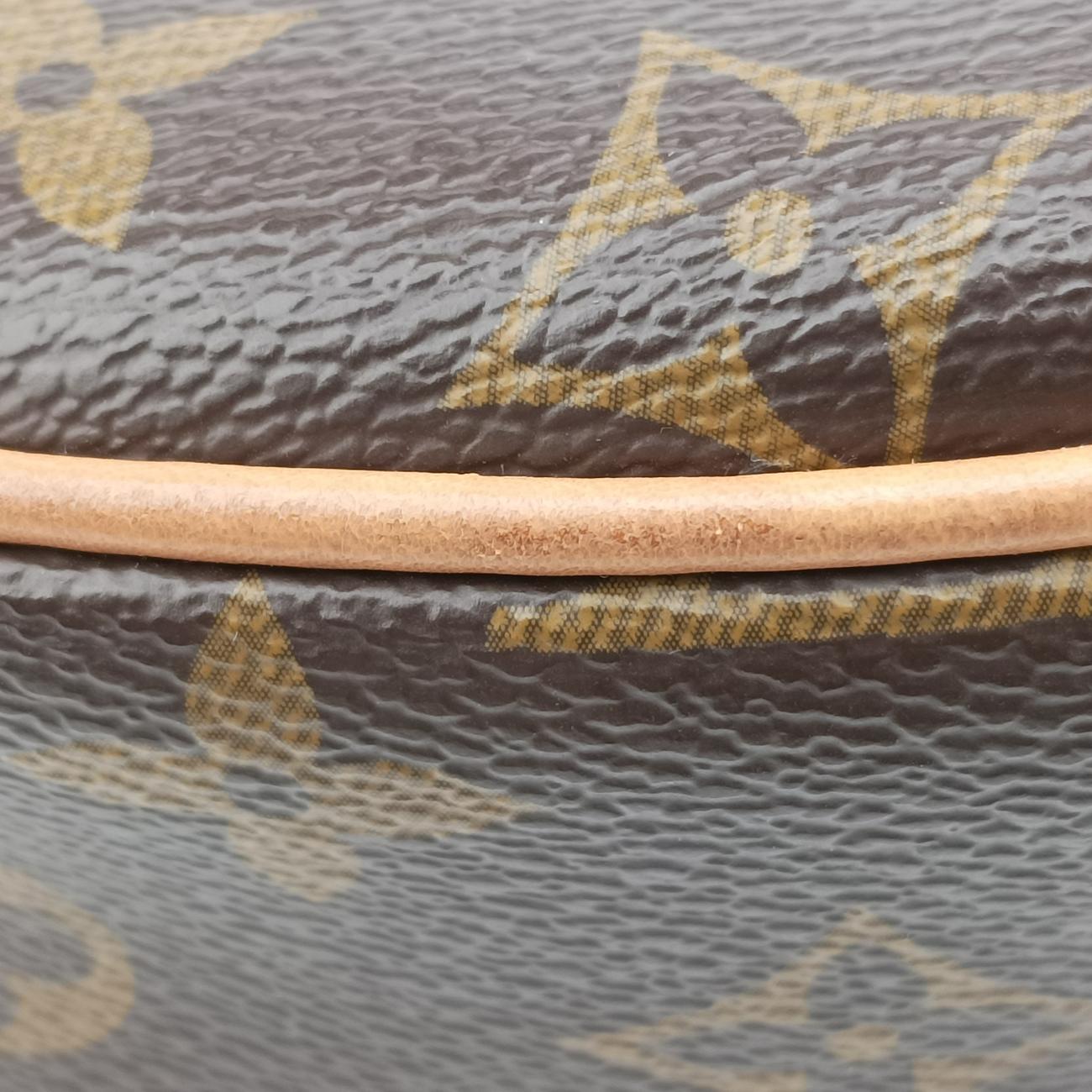 LOOPBrown×BeigeMonogram CanvasM81098ICチップループモノグラム/ブラウン系×ベージュモノグラムキャンバスM81098ICチップ