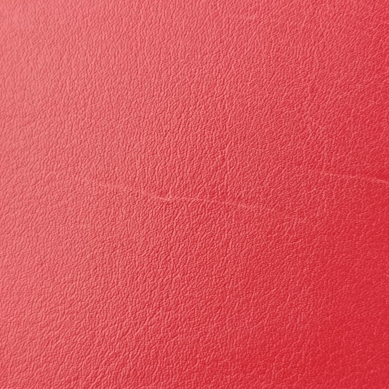 Y Ligne Petit CabasRedLeather311210311210.529258Yライン プチカバスレッドレザー311210311210.529258