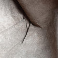 IntrecciatoOrangelambskinB00718045IイントレチャートオレンジラムスキンB00718045I