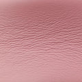 NEW WAVE PMSMOOTHIE PINKLeatherM51933NZ2158 ICチップニューウェーブPMスムージー ピンクレザーM51933NZ2158 ICチップ