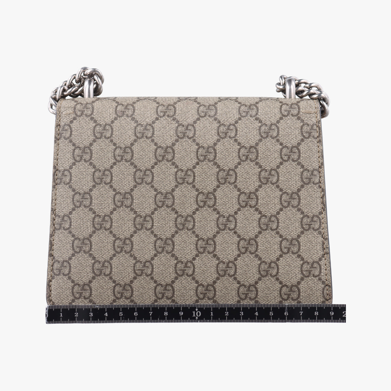 DionysusBrownPVC coated canvas421970A026726743ディオニュソスブラウンPVCコーティングキャンバス421970A026726743