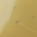 Brea MMDunneVernisM90180AA3173ブレアMMデュンヌヴェルニM90180AA3173