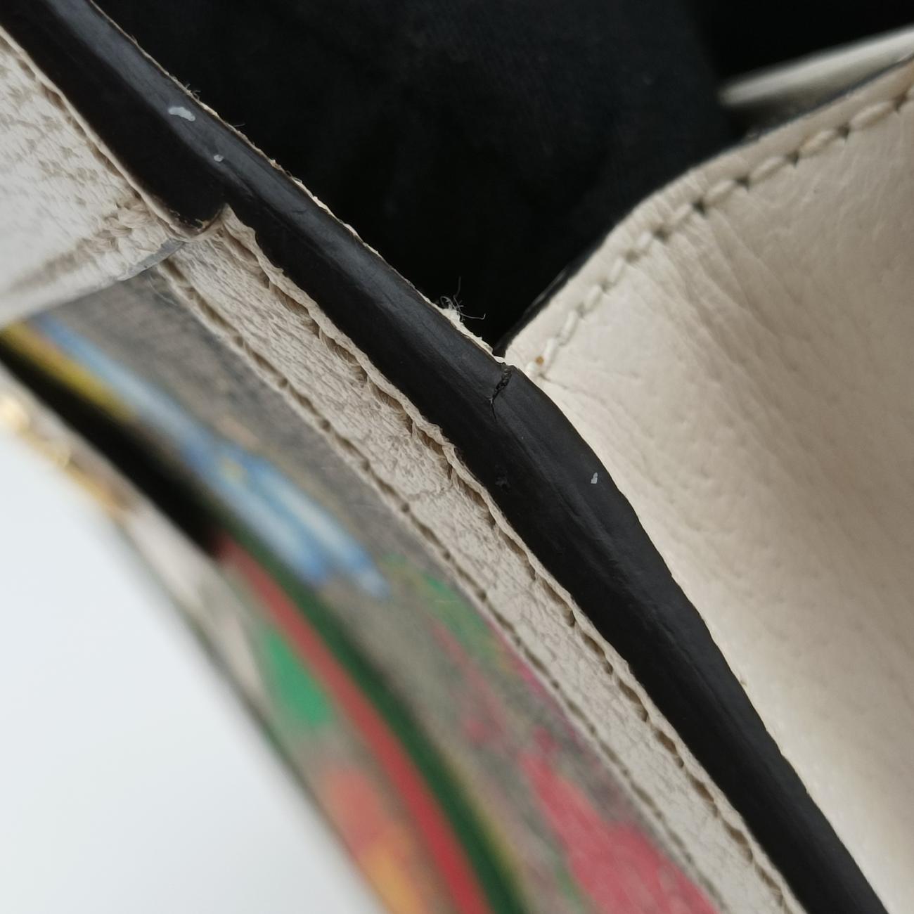 Ophidiabeige×multicolorPVC coated canvas503877F030819524オフィディアベージュ×マルチカラーPVCコーティングキャンバス503877F030819524