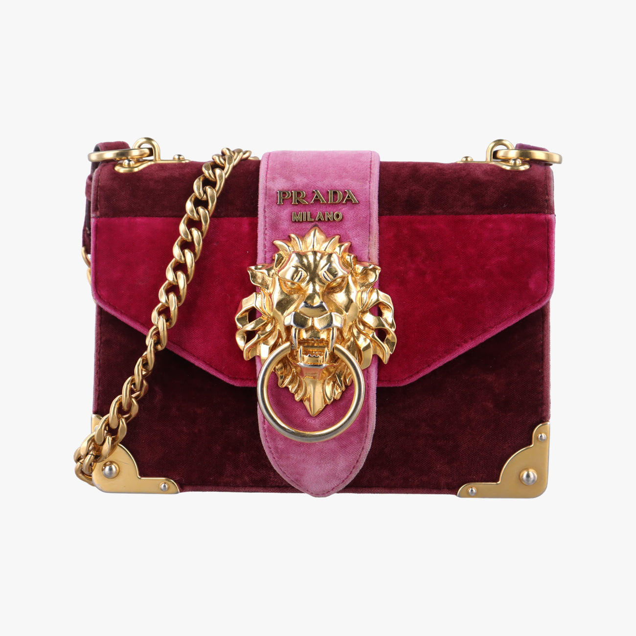 Animalier Cahier Lions HeadRed×PinkVelvet1BD089110カイエ ライオンヘッドレッド×ピンクベロア1BD089110