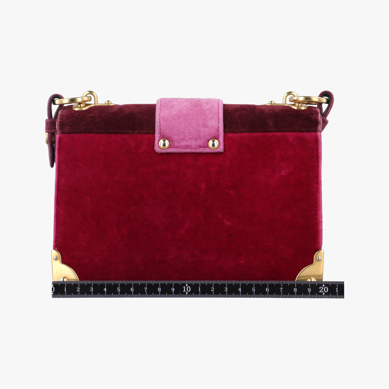 Animalier Cahier Lions HeadRed×PinkVelvet1BD089110カイエ ライオンヘッドレッド×ピンクベロア1BD089110