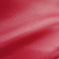 Monogram LulutoyRedLeather467072GUE467072.0118モノグラム ルルトイレッドレザー467072GUE467072.0118