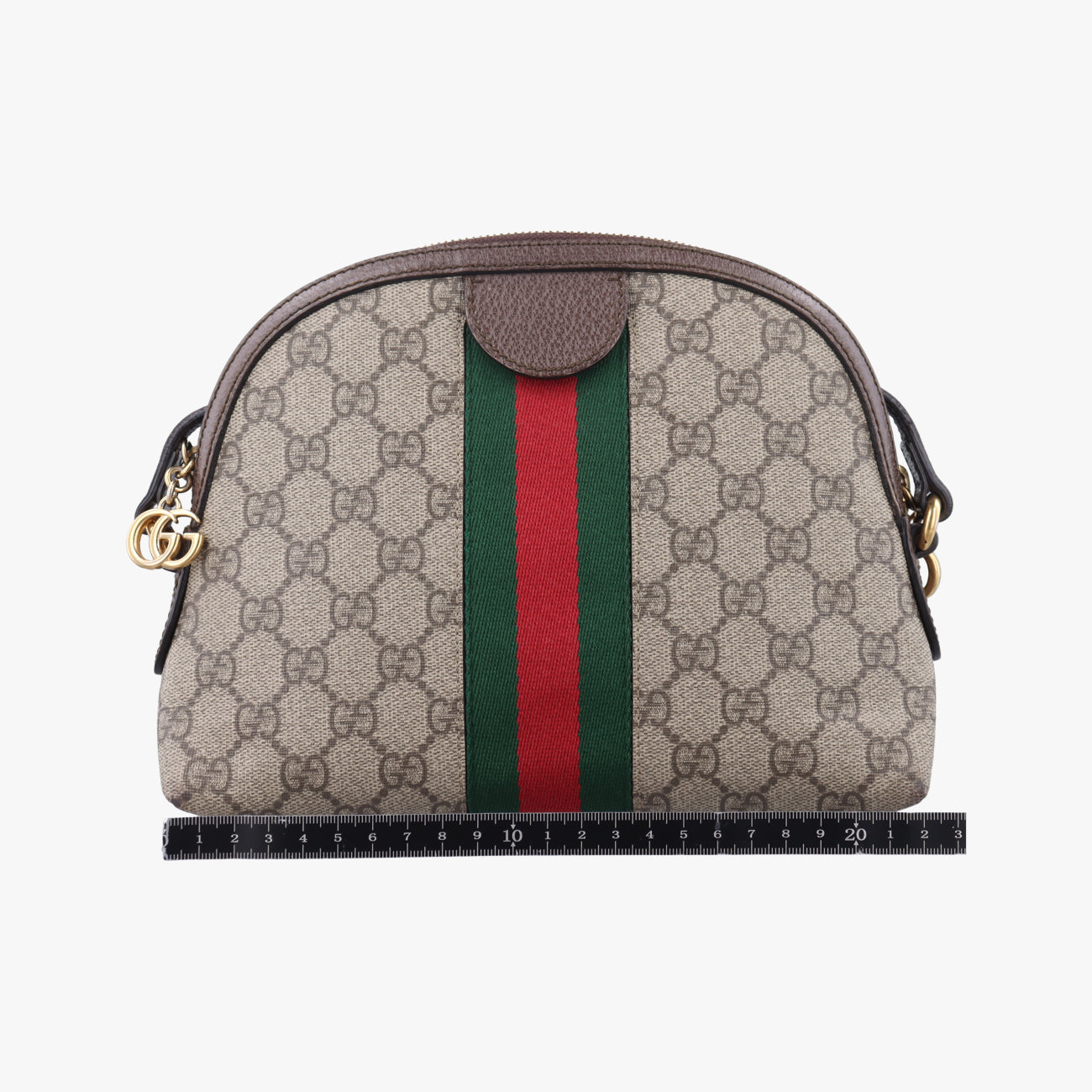 Ophidiabrown×red×greenPVC coated canvas499621I025298130オフィディアブラウン×レッド×グリーンPVCコーティングキャンバス499621I025298130