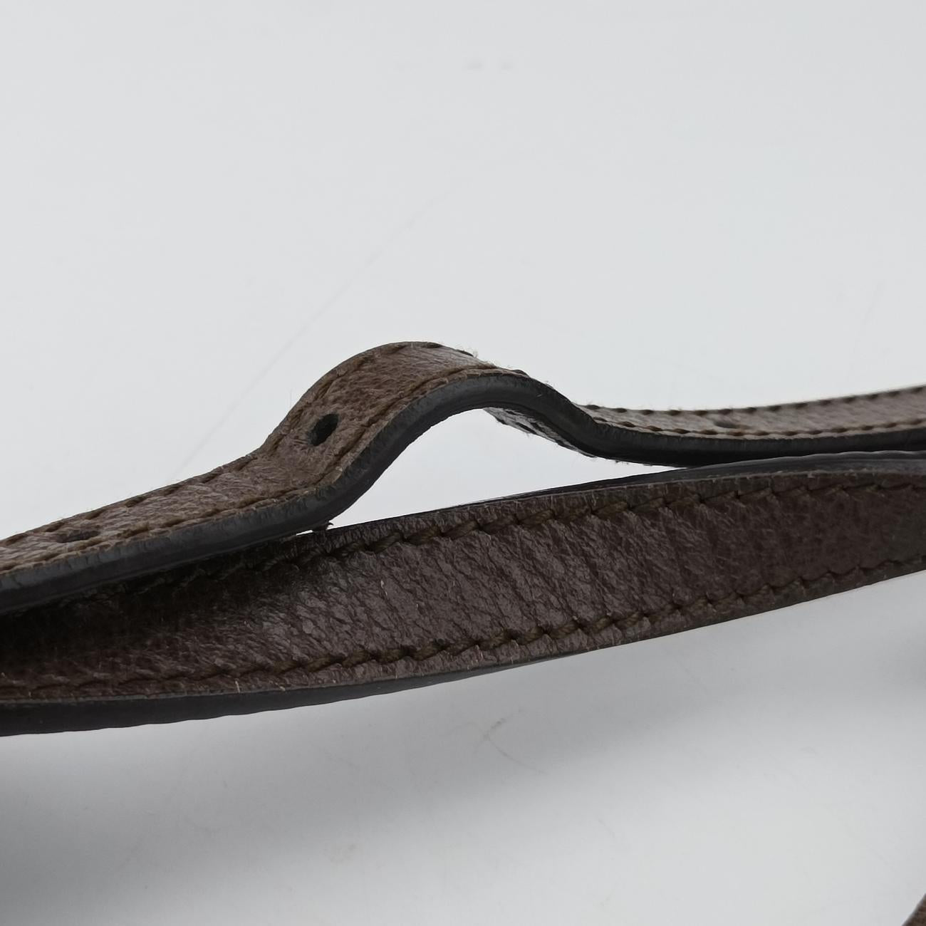 Ophidiabrown×red×greenPVC coated canvas499621I025298130オフィディアブラウン×レッド×グリーンPVCコーティングキャンバス499621I025298130