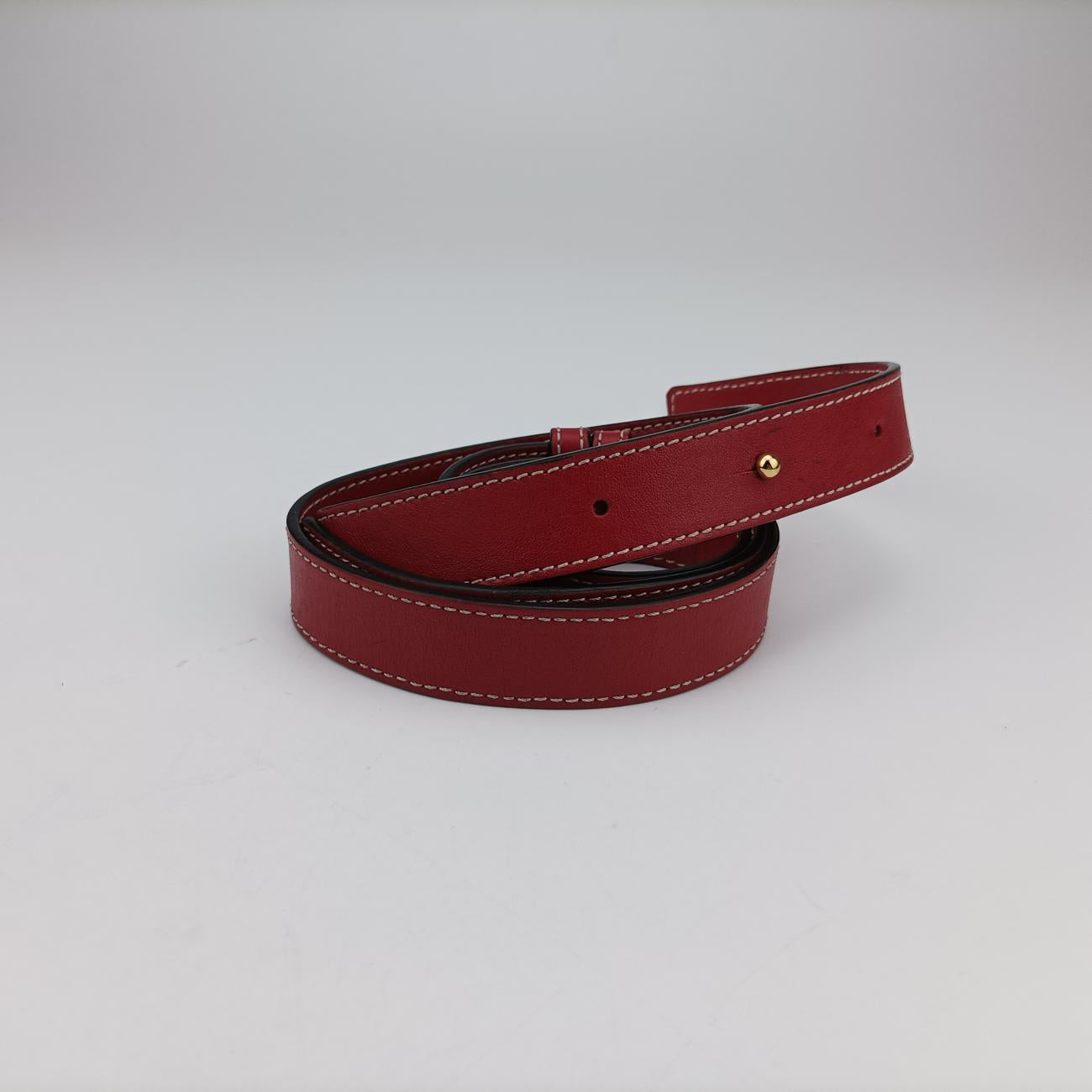 HammockRedLeather06 17 09ハンモックレッドレザー06 17 09