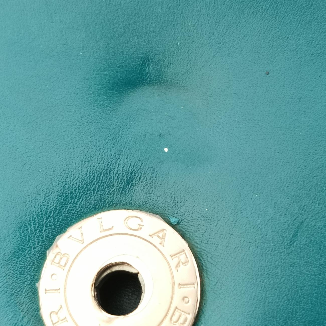 SERPENTI FOREVERGreenLeatherAC.D15.35362セルペンティ フォーエバーグリーンレザーAC.D15.35362