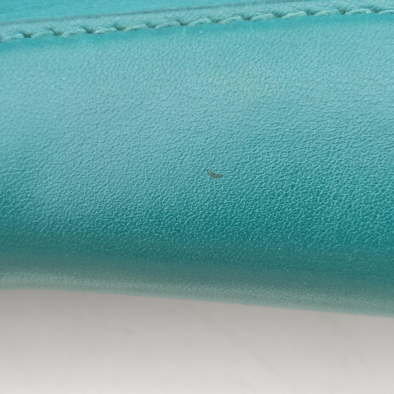 SERPENTI FOREVERGreenLeatherAC.D15.35362セルペンティ フォーエバーグリーンレザーAC.D15.35362