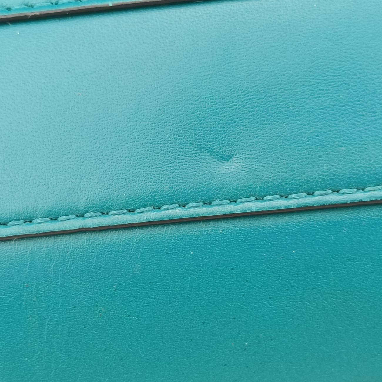 SERPENTI FOREVERGreenLeatherAC.D15.35362セルペンティ フォーエバーグリーンレザーAC.D15.35362