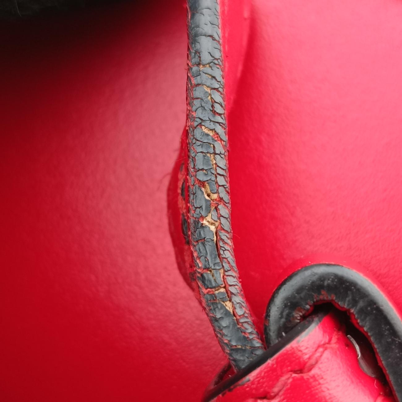 Lilith Bamboo Coral SnakeRedLeather453751F020755580リリス バンブー コーラルスネークレッドレザー453751F020755580