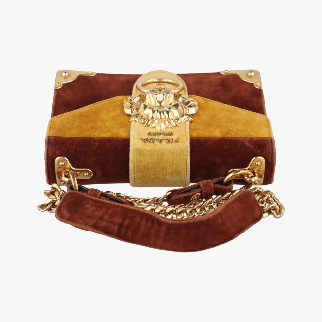 Animalier Cahier Lions HeadYellow×BrownVelvet1BD089110カイエ ライオンヘッドイエロー×ブラウン系ベロア1BD089110