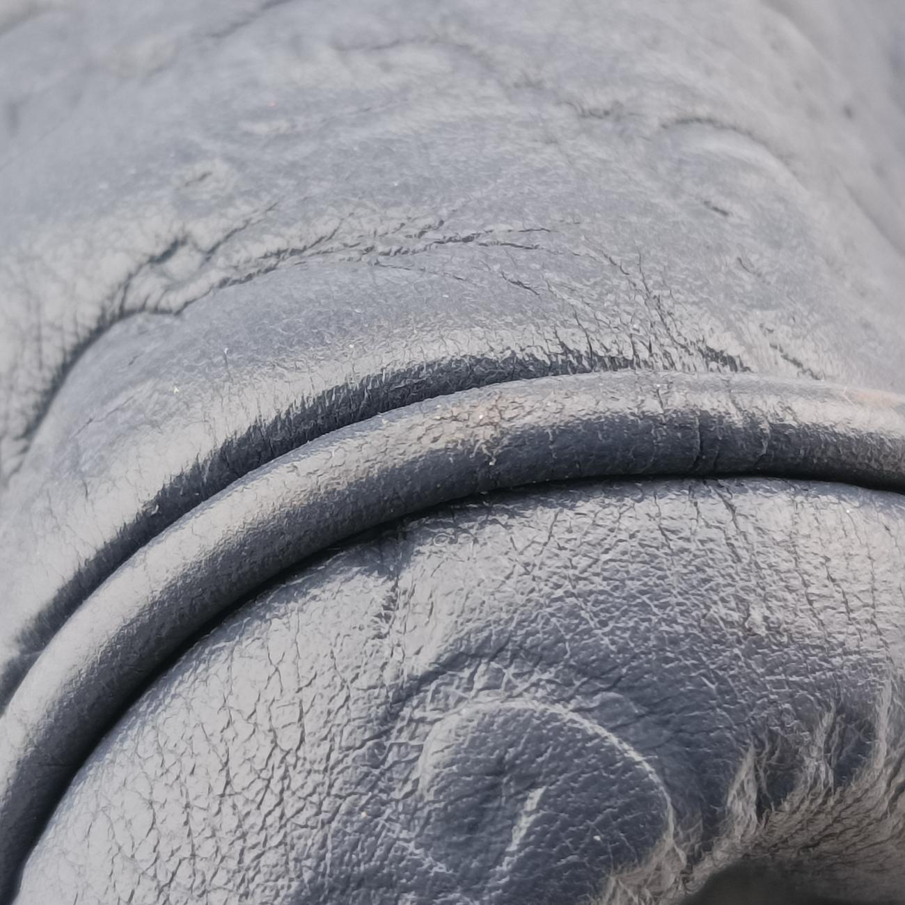 EmilyBlueLeather336757I015718023エミリーブルーレザー336757I015718023