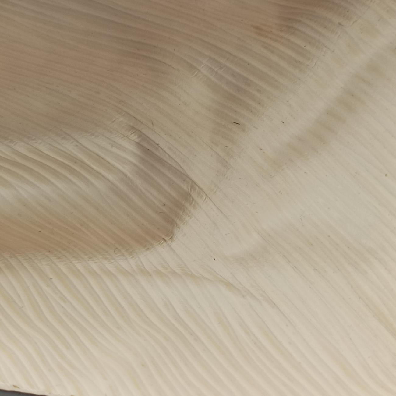 SPRING STREET　PMROSE BALLERINEVernis×Monogram CanvasM90468NZ3189スプリング　ストリート PMローズバレリーヌヴェルニ×モノグラムキャンバスM90468NZ3189