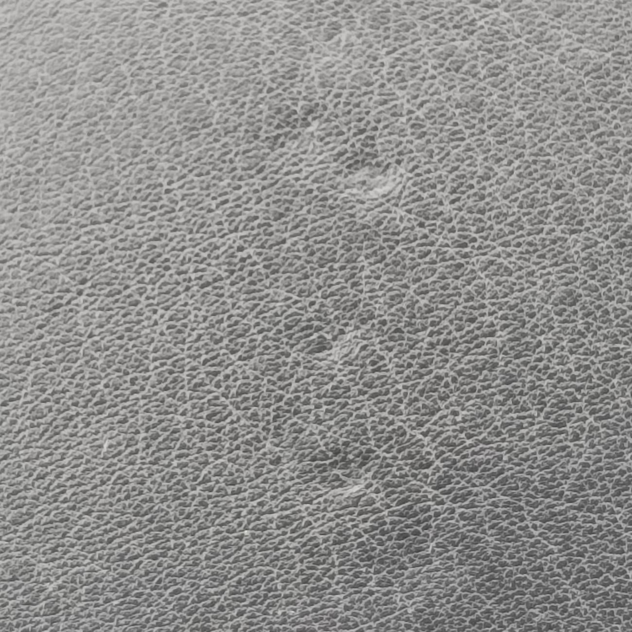 Petite Boite ChapeauBEIGE×BLACKLeatherM53138PL0318 ICチッププティット ボワット シャポーベージュ×ブラックレザーM53138PL0318 ICチップ