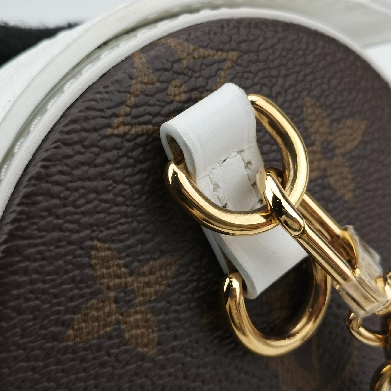 Papillon TrunkBrown×whiteMonogram Canvas×calf leatherM81485ICチップパピヨン トランクモノグラム/ブラウン系×ホワイトモノグラムキャンバス×カーフレザーM81485ICチップ