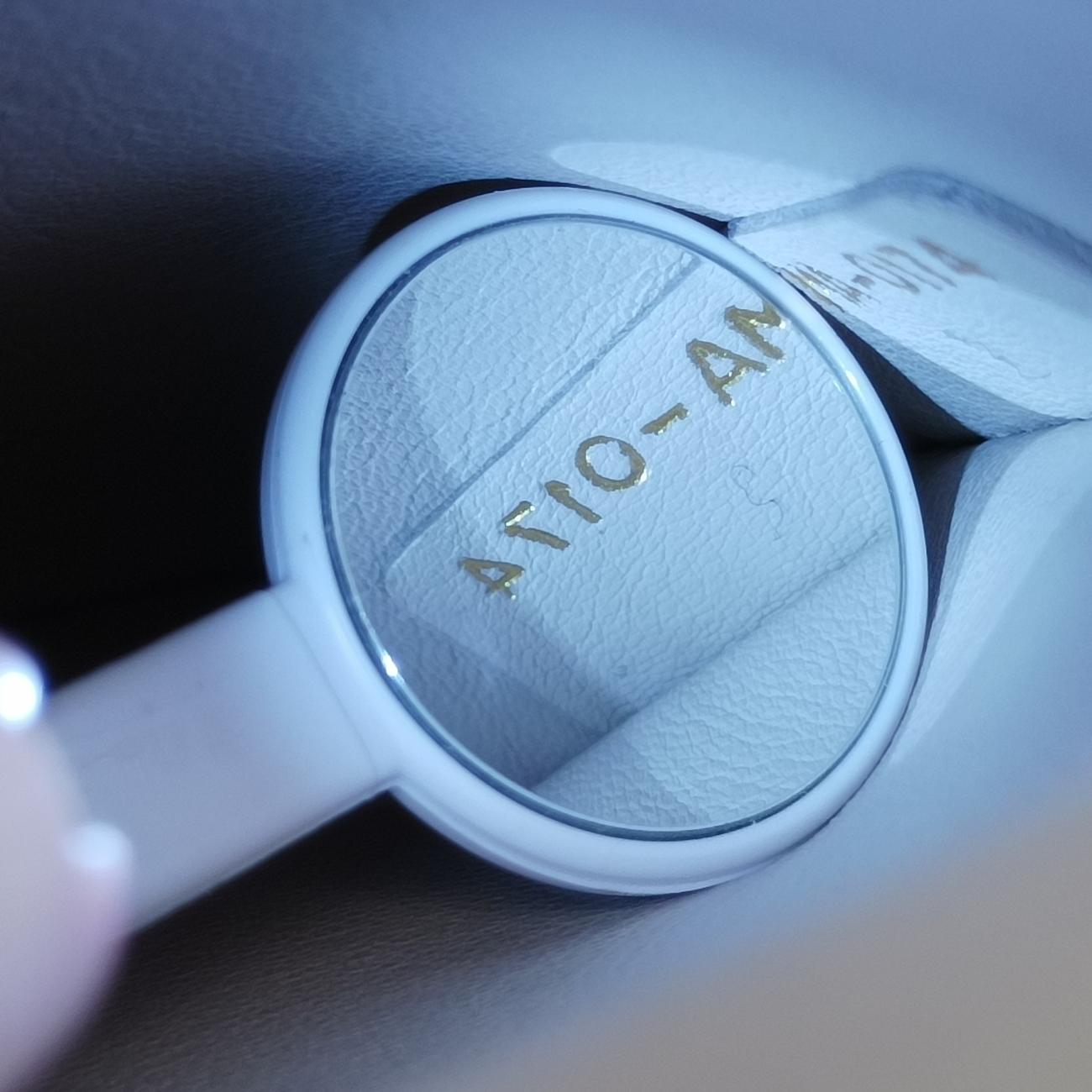 Be Dior Rose Leather 19-MA-0174ビー ディオール ローズ レッド レザー 19-MA-0174