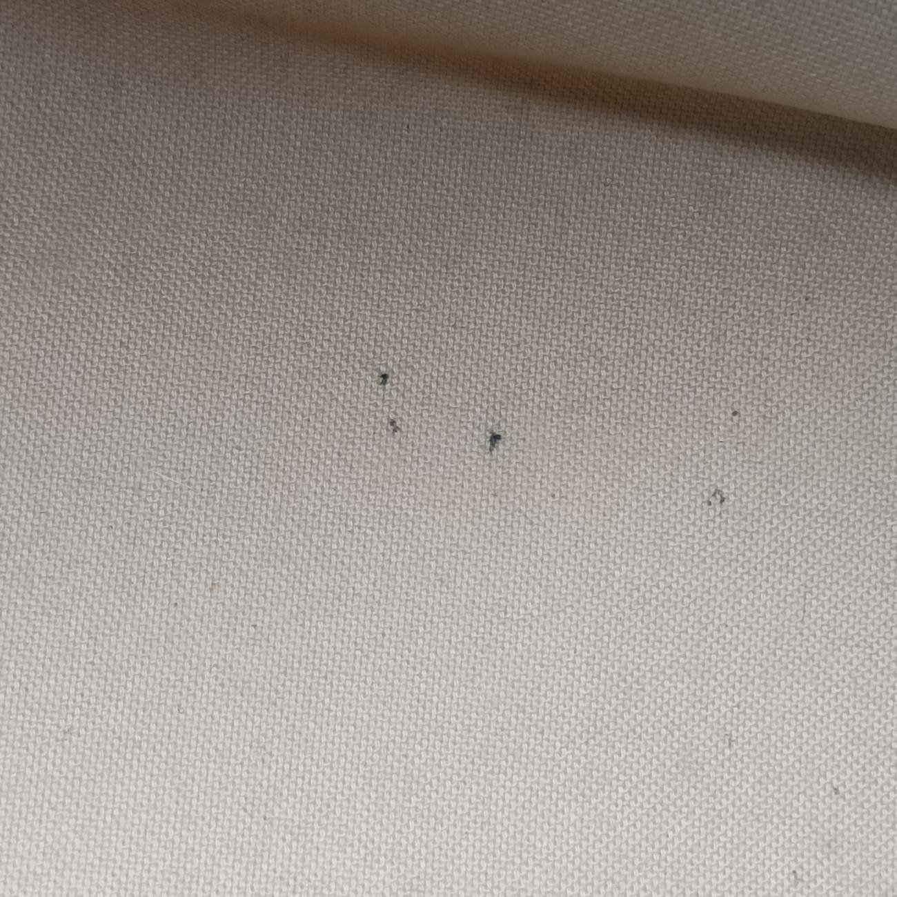 Speedy 30AzurDamier　CanvasN41533SP0153スピーディ30アズールダミエキャンバスN41533SP0153