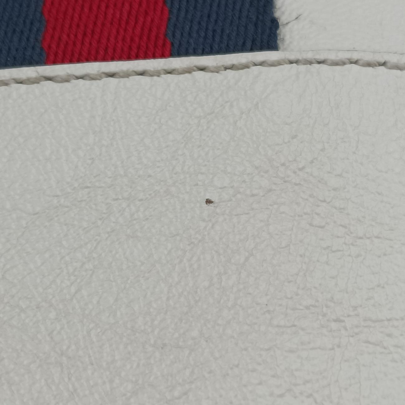 RajahWhiteLeather537219D028468197ラジャホワイトレザー537219D028468197