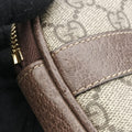 OphidiaBrown×MulticolourPVC coated canvas x leather519308オフィディアブラウン ×マルチカラーPVCコーティングキャンバス×レザー519308