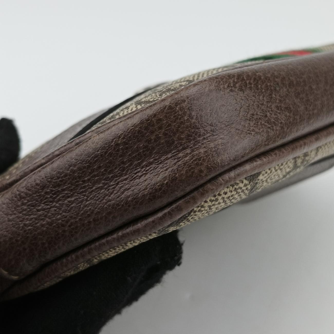 Ophidia Brown×Multicolour PVC coated canvas x leather 519308 オフィディア ブラウン×マルチカラー PVCコーティングキャンバス×レザー 519308 