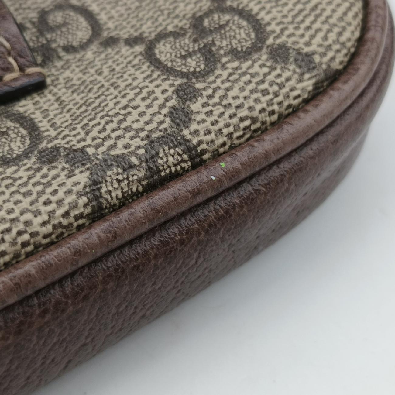 Ophidia Brown×Multicolour PVC coated canvas x leather 519308 オフィディア ブラウン×マルチカラー PVCコーティングキャンバス×レザー 519308 