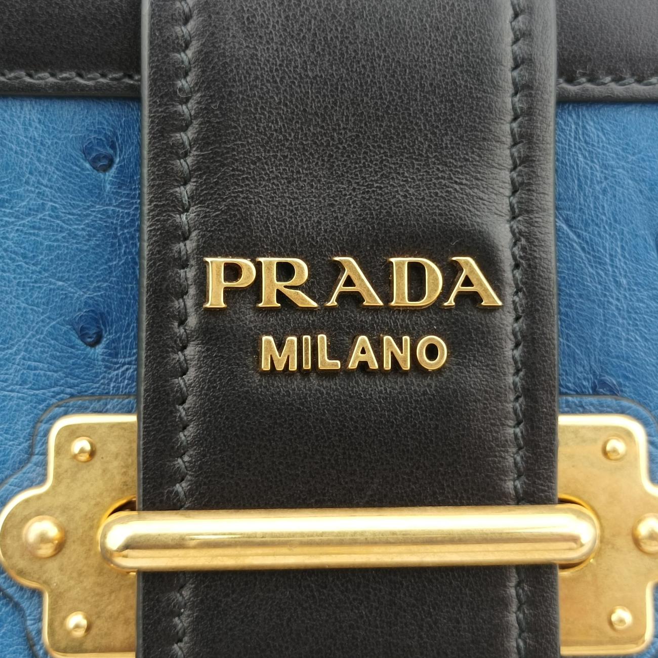 City Ostrich Cahier ColbaltoBlue×BlackLeather25シティ ダチョウ カイエ コバルトブルー×ブラックレザー25