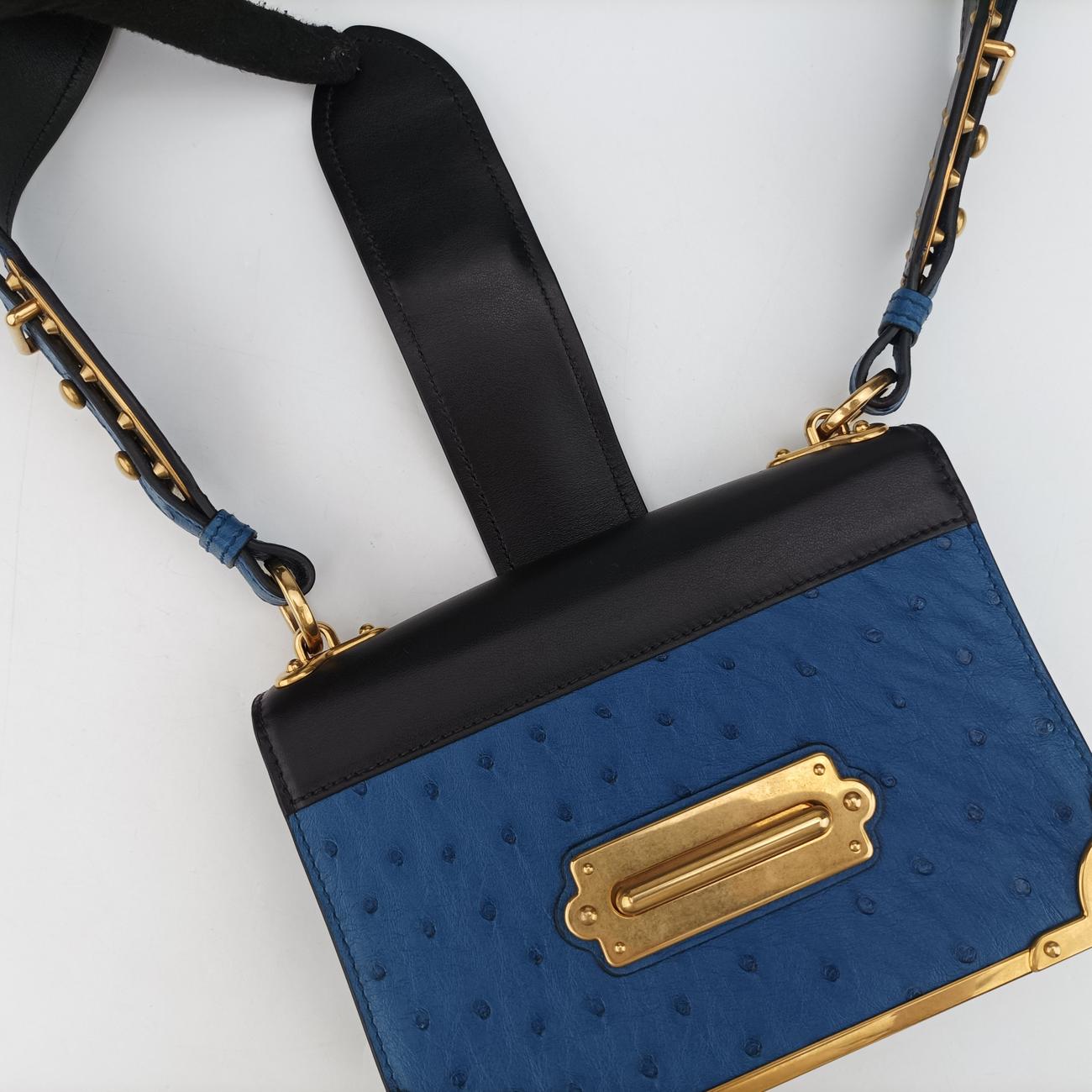 City Ostrich Cahier ColbaltoBlue×BlackLeather25シティ ダチョウ カイエ コバルトブルー×ブラックレザー25