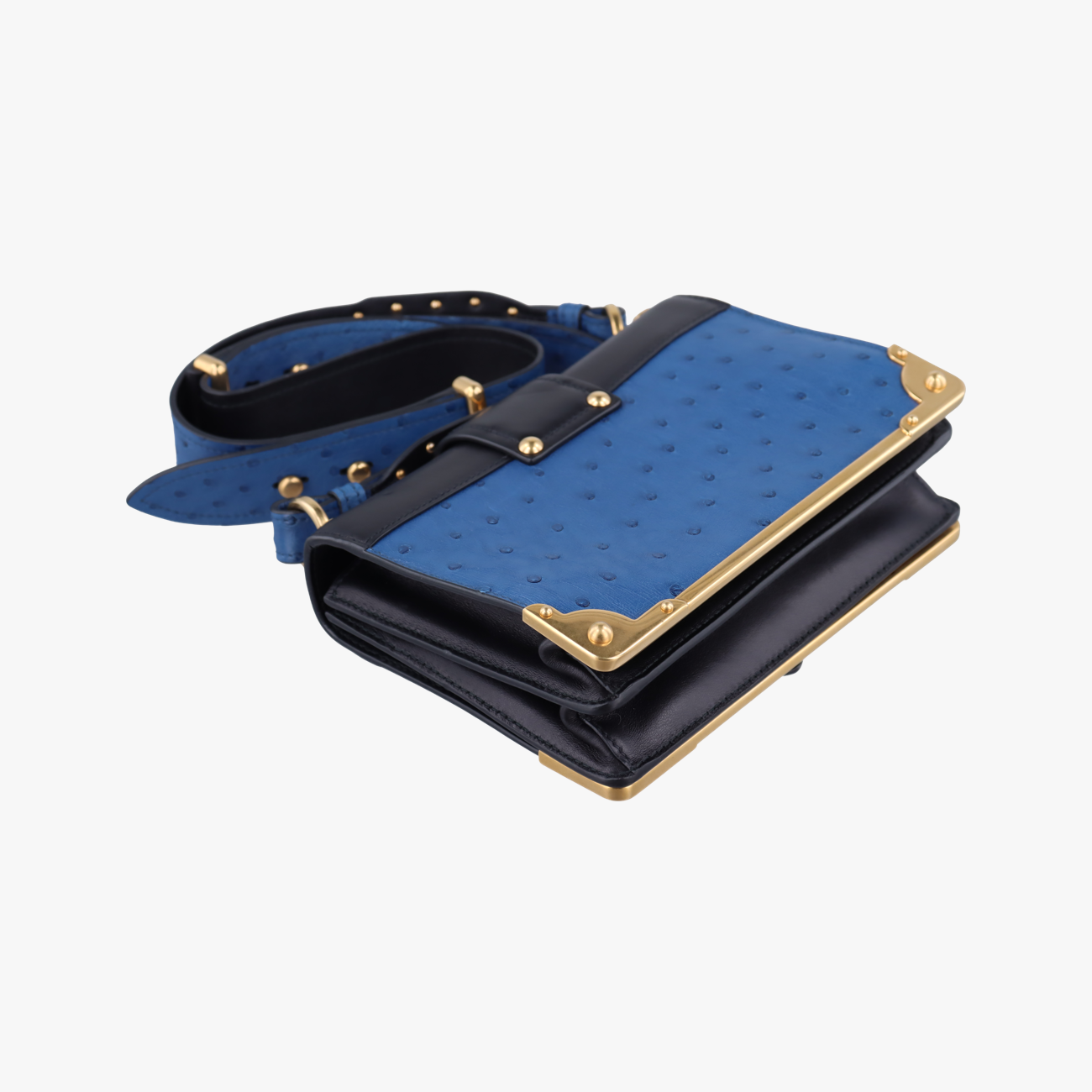 City Ostrich Cahier ColbaltoBlue×BlackLeather25シティ ダチョウ カイエ コバルトブルー×ブラックレザー25