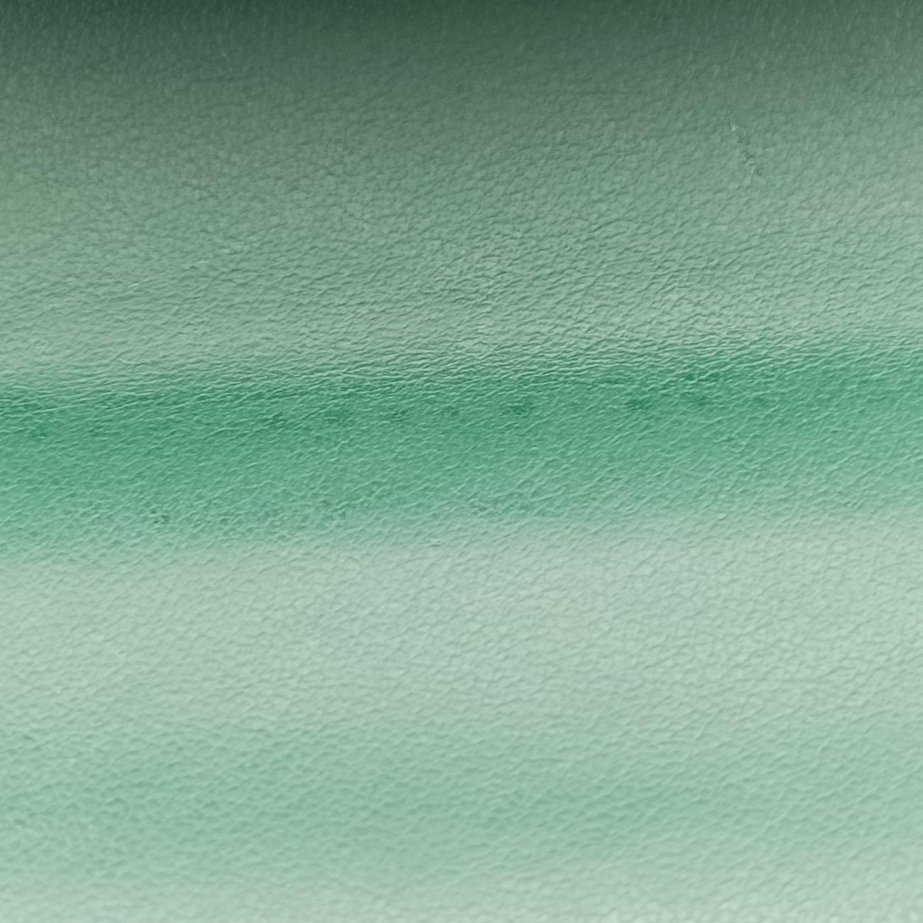 Cahier Green x Black Leather 1BH018 25カイエ グリーン×ブラック レザー 1BH018 25