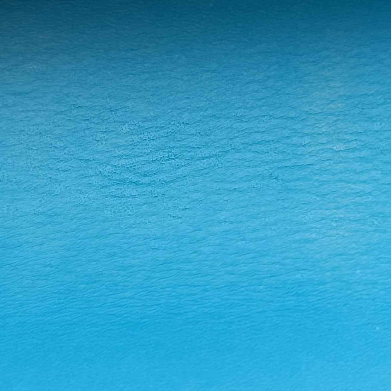 Dionysus Blue velour ディオニュソス ブルー ベロア 476432 