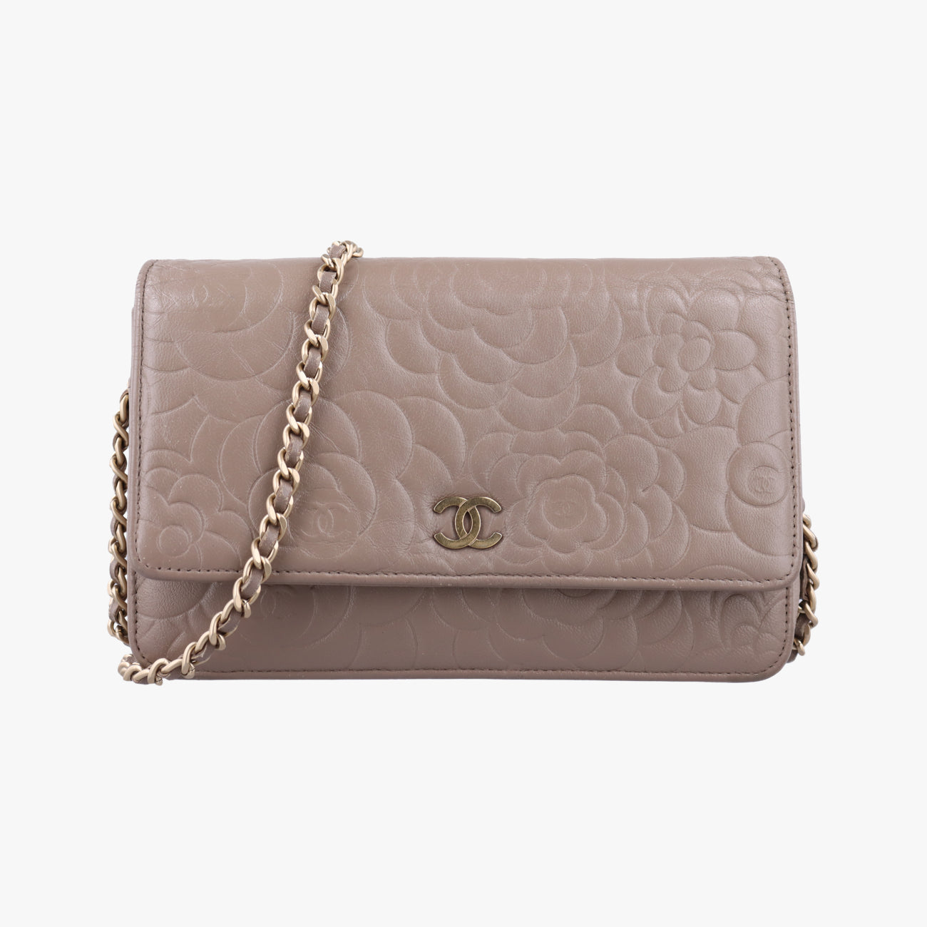 camellia Brown lambskin A47421 17360816カメリア ブラウン ラムスキン A47421 17360816