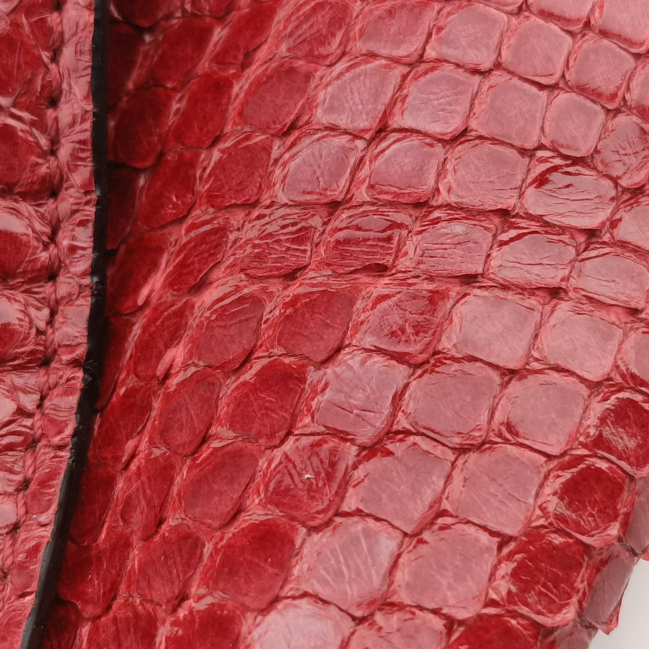 Medusa PalazzoRedSnakeskinCLG012 657 115 412メデューサ パラッツォレッドスネークスキンCLG012 657 115 412