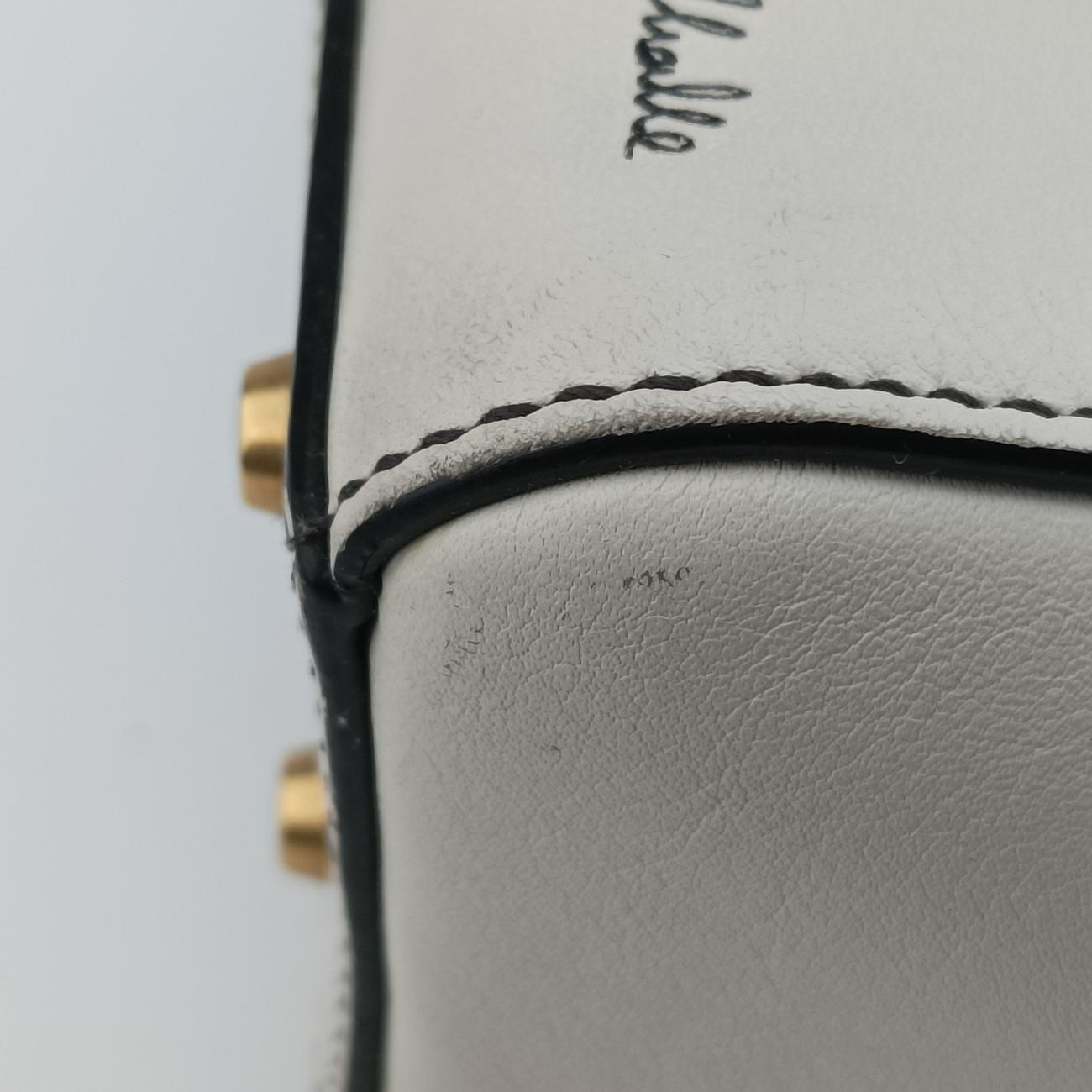 Niki de Saint Phalle Lady Dior White×Multicolour Leather 04-MA-1127ニキ ドゥ サンファル レディ ディオール ホワイト×マルチカラー レザー 04-MA-1127