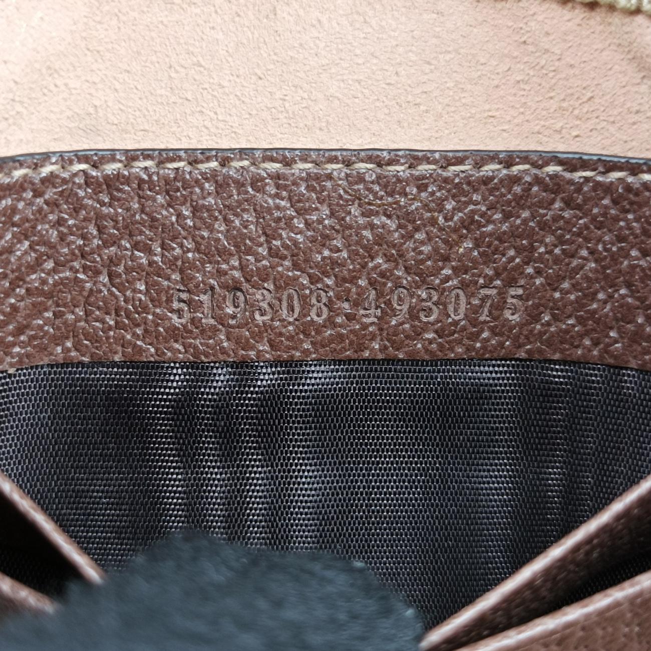 Ophidia Brown×green×red PVC coated canvas × leather オフィディア ブラウン×グリーン×レッド PVCコーティングキャンバス×レザー 519308 