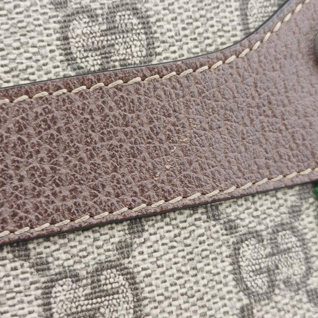 Ophidia Brown×green×red PVC coated canvas × leather オフィディア ブラウン×グリーン×レッド PVCコーティングキャンバス×レザー 519308 