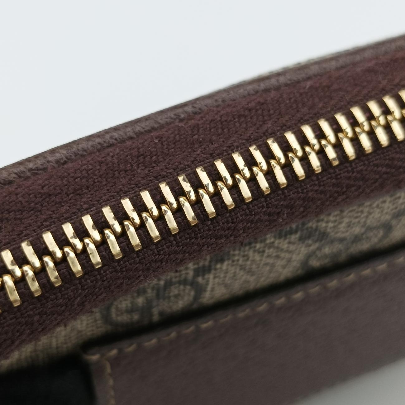 Ophidia Brown×green×red PVC coated canvas × leather オフィディア ブラウン×グリーン×レッド PVCコーティングキャンバス×レザー 519308 