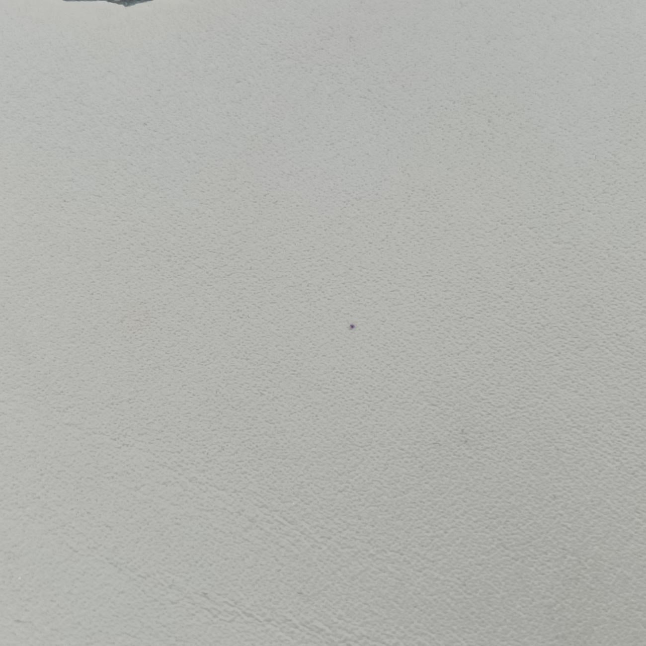 J'Adior White Leather 09-MA-0127ジャディオール ホワイト レザー 09-MA-0127