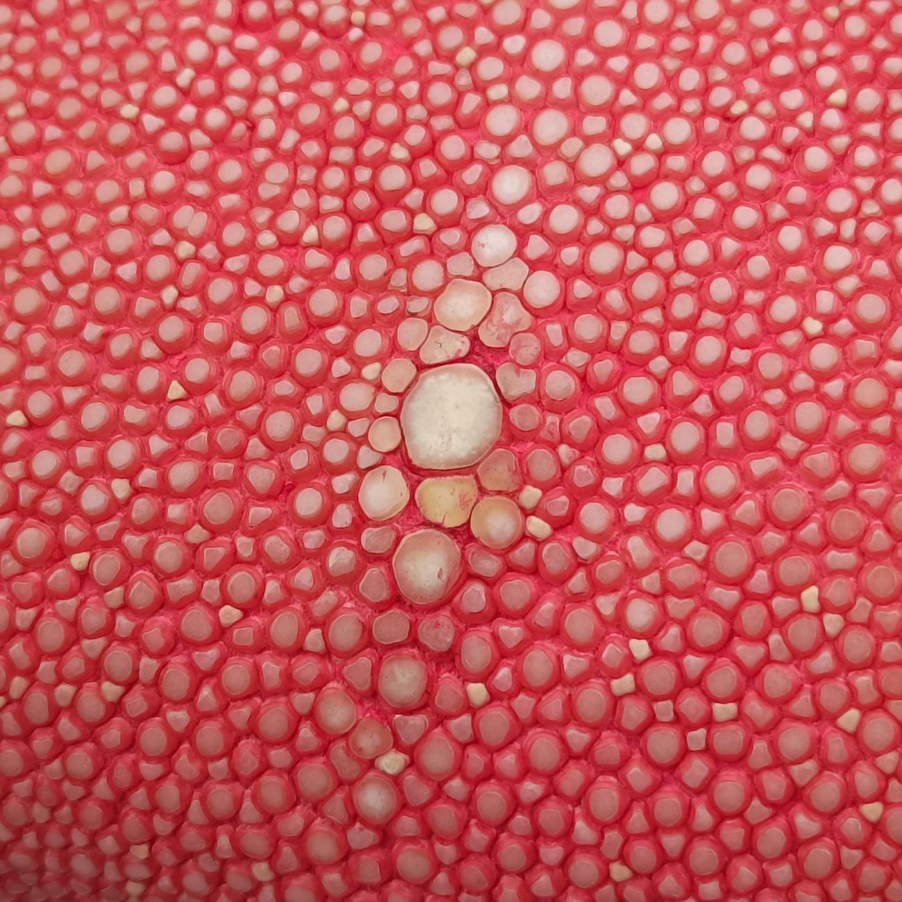 BOY CHANELRedlambskin×GarrushaA6623021026517ボーイシャネルレッドラムスキン×ガルーシャA6623021026517