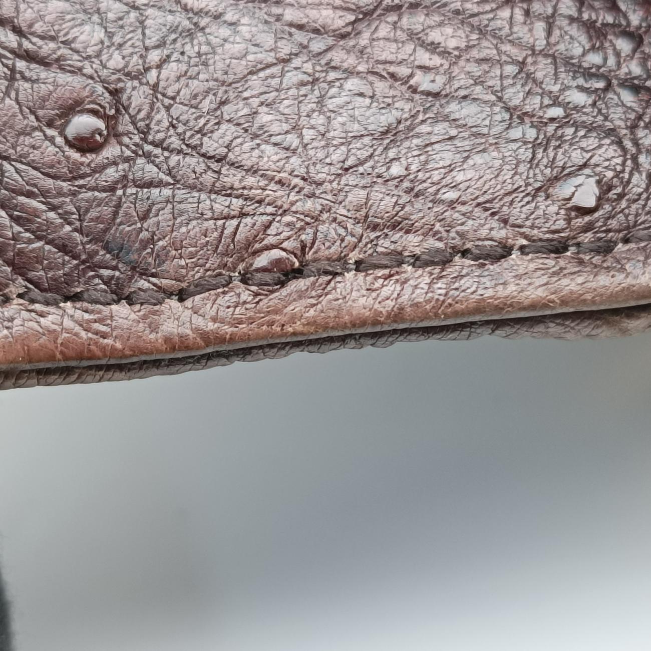 1973 Double G Brown Ostrich Leather 251820 I99565191973 ダブルG ブラウン オーストリッチ 251820 I9956519