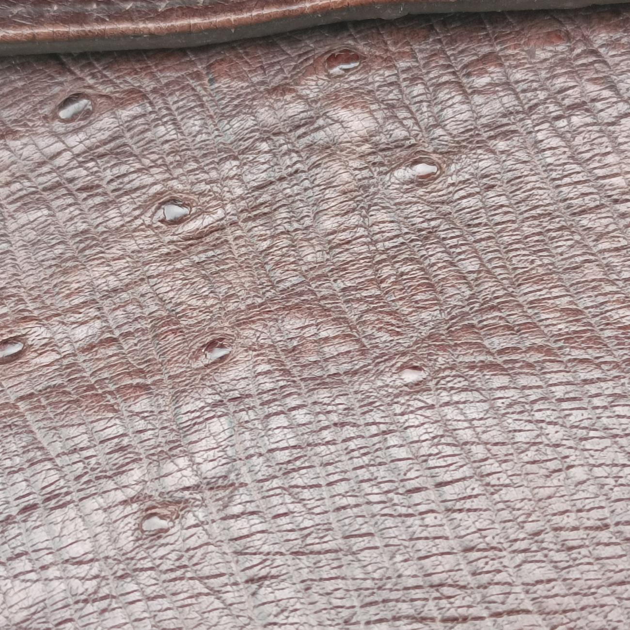 1973 Double G Brown Ostrich Leather 251820 I99565191973 ダブルG ブラウン オーストリッチ 251820 I9956519