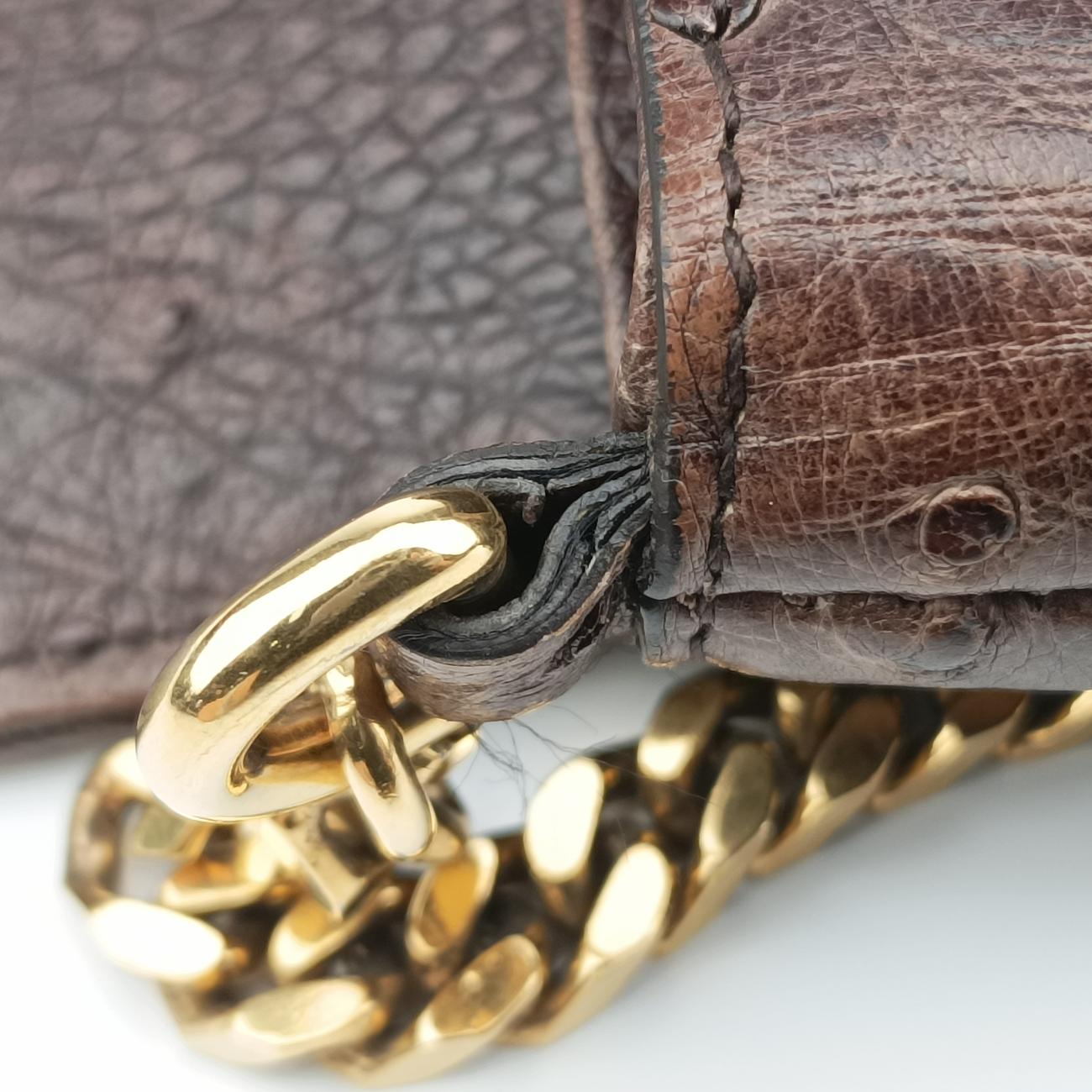 1973 Double G Brown Ostrich Leather 251820 I99565191973 ダブルG ブラウン オーストリッチ 251820 I9956519