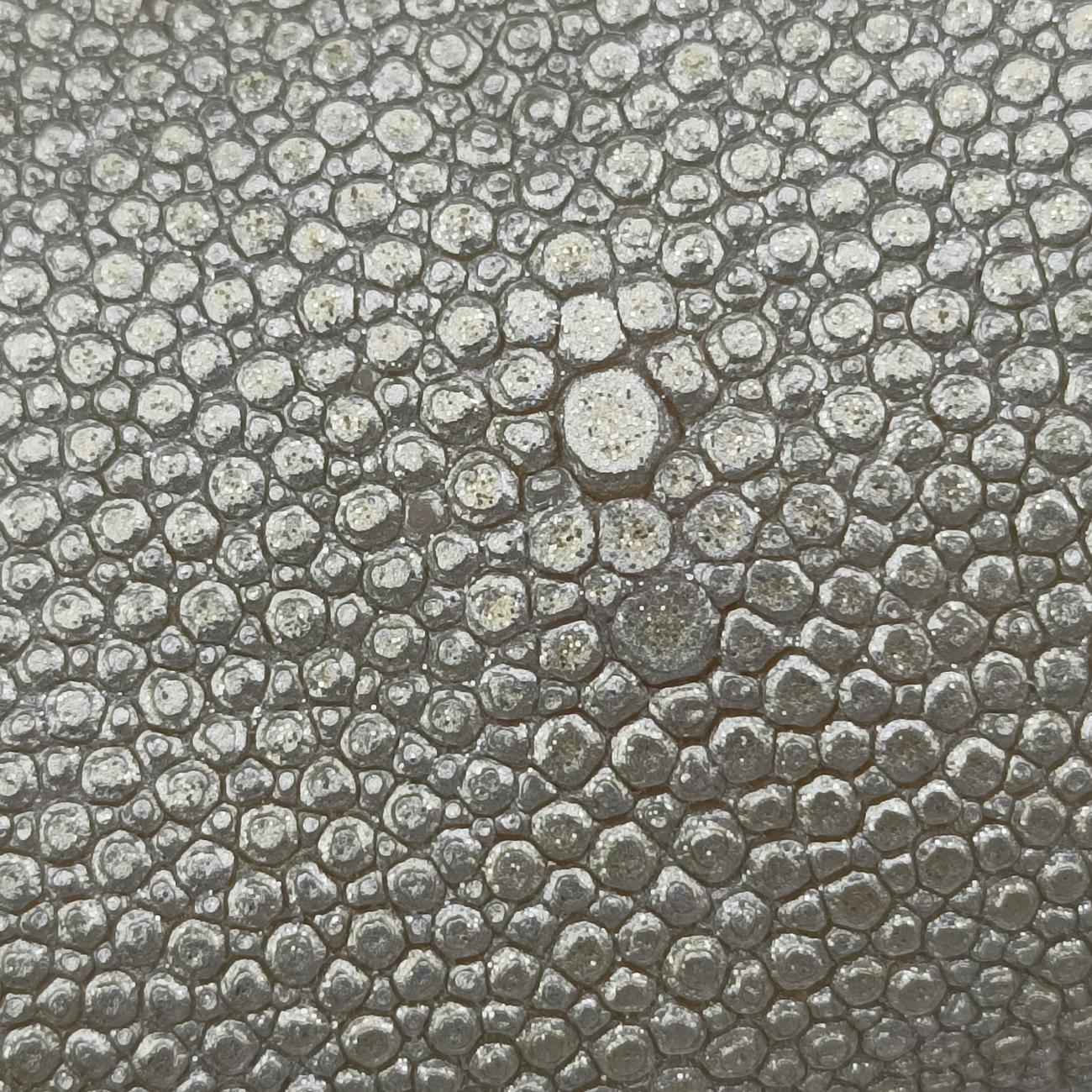 BOY CHANEL Silver lambskin×Galuchat Stingray A66230 19869442ボーイシャネル シルバー ラムスキン×ガルーシャ スティングレイ A66230 19869442