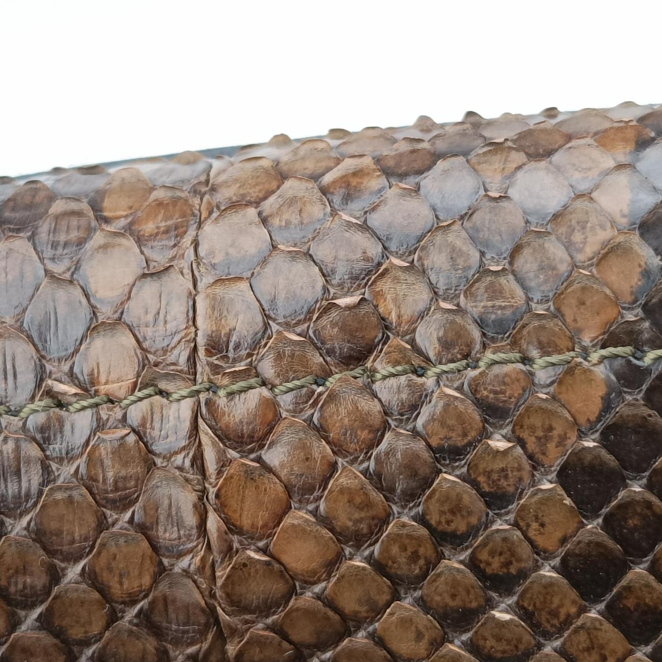 Luggage Mini Shopper Black×Brown×Multicolour Leather×Snakeskin S-AT-1121 S-PA-0112ラゲージミニショッパー ブラック×ブラウン×マルチカラー レザー×ヘビ革 S-AT-1121 S-PA-0112