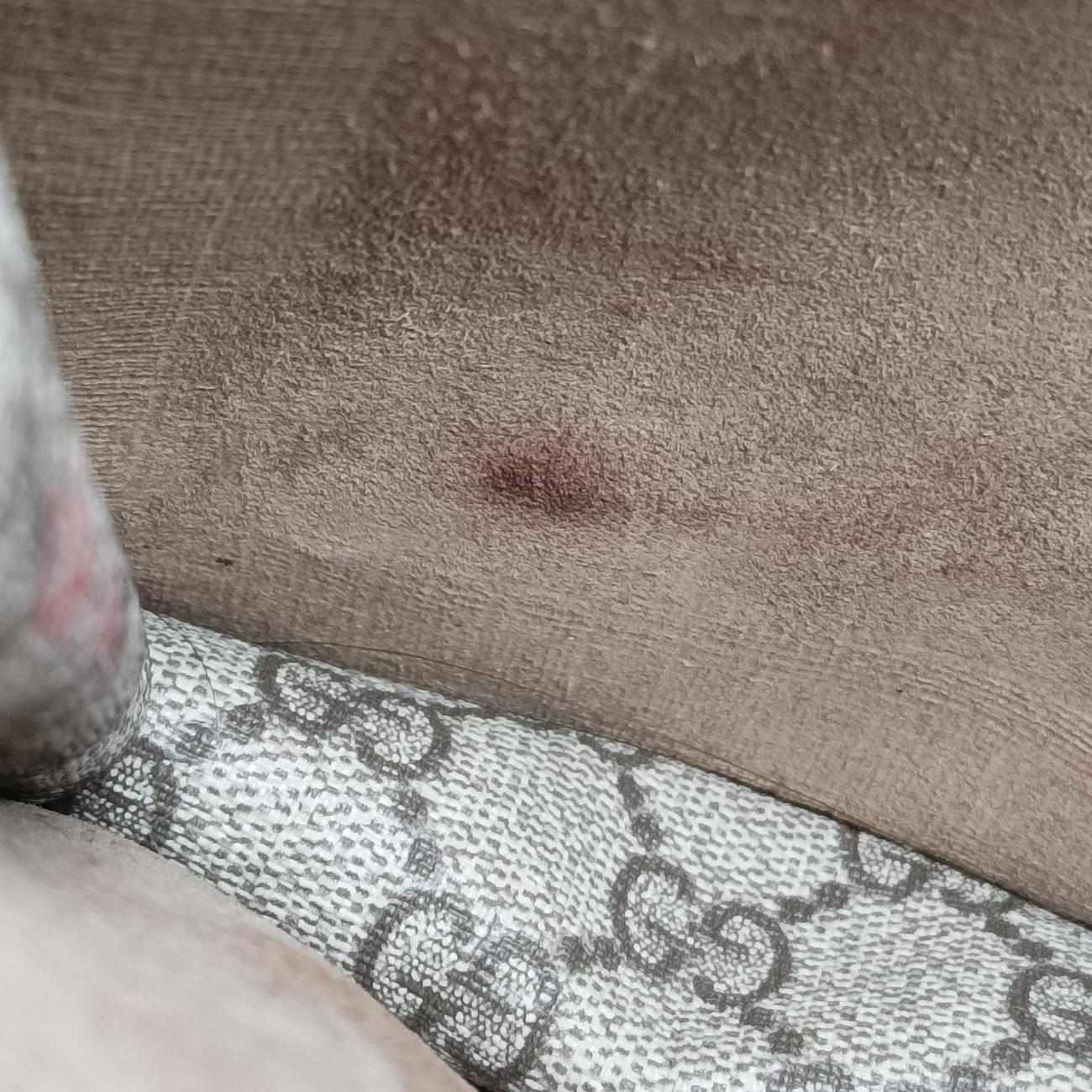 Dionysus beige×Multicolour PVC coated canvas 400235 H019745323ディオニュソス ベージュ×マルチカラー PVCコーティングキャンバス 400235 H019745323