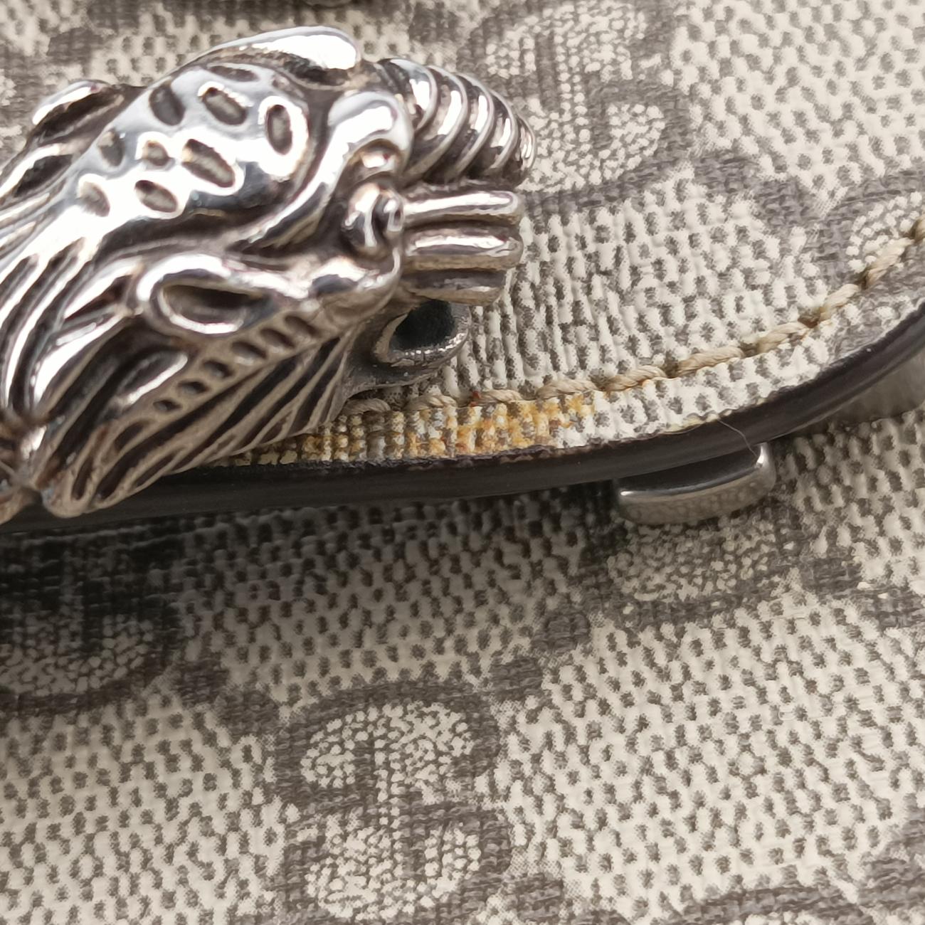 Dionysus beige×Multicolour PVC coated canvas 400235 H019745323ディオニュソス ベージュ×マルチカラー PVCコーティングキャンバス 400235 H019745323