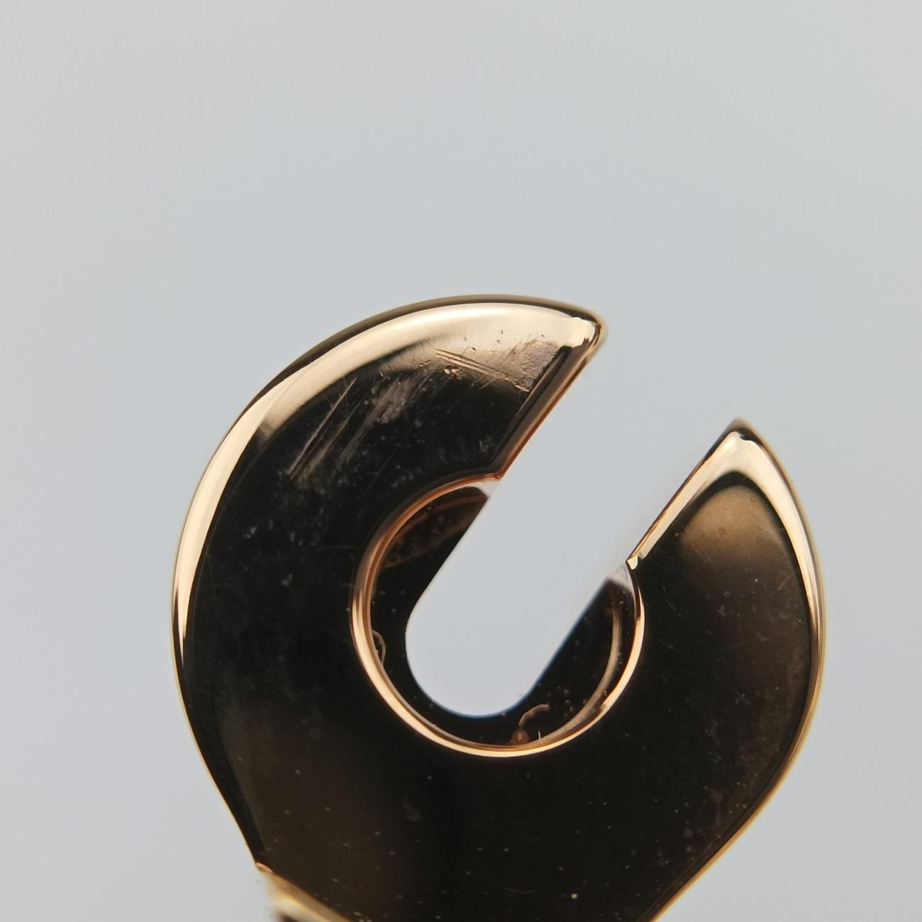 Charnière Golden×Multicolour GP FI 01 77シャルニエール ゴールド×マルチカラー GP FI 01 77